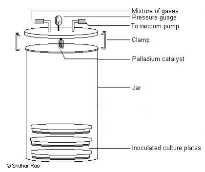 mcintosh and fildes anaerobic jar|McIntosh and Fildes' anaerobic jar .